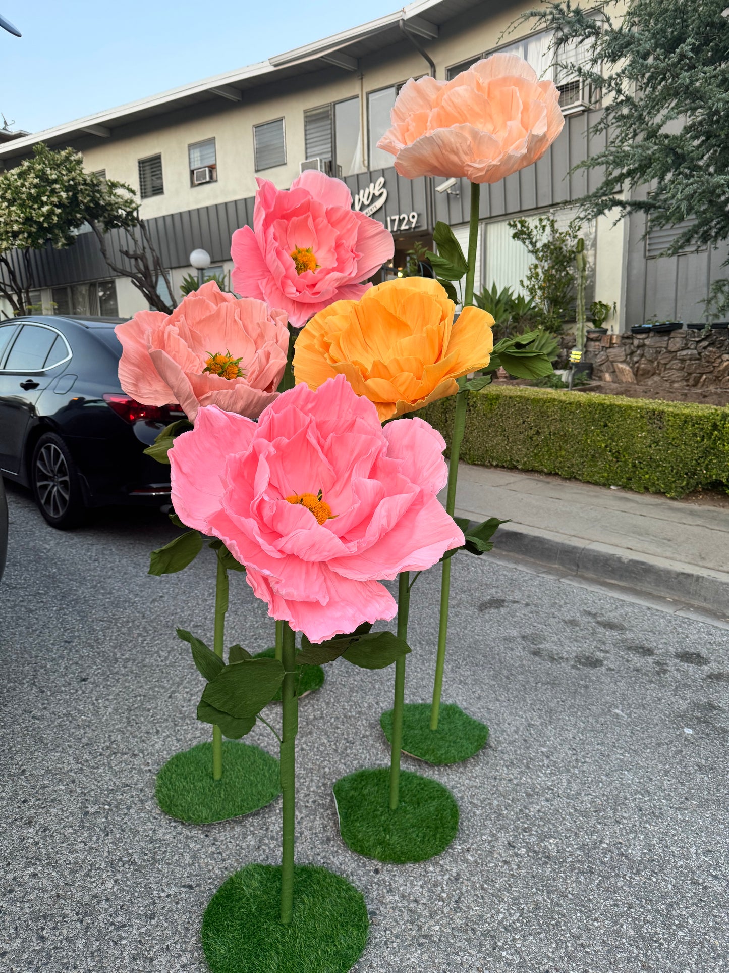 GIANT PAPER FLOWERS