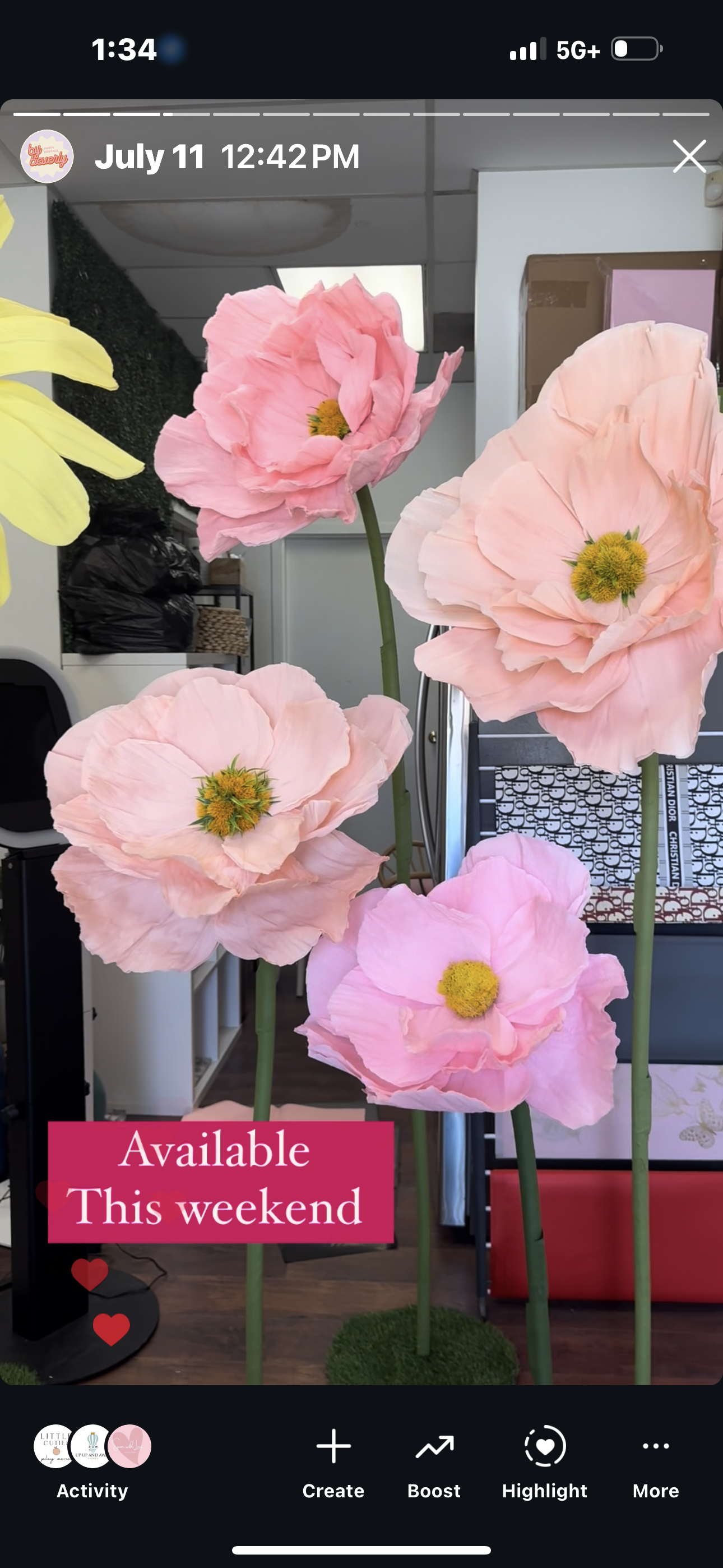 GIANT PAPER FLOWERS