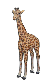 GIANT ANIMAL PROPS