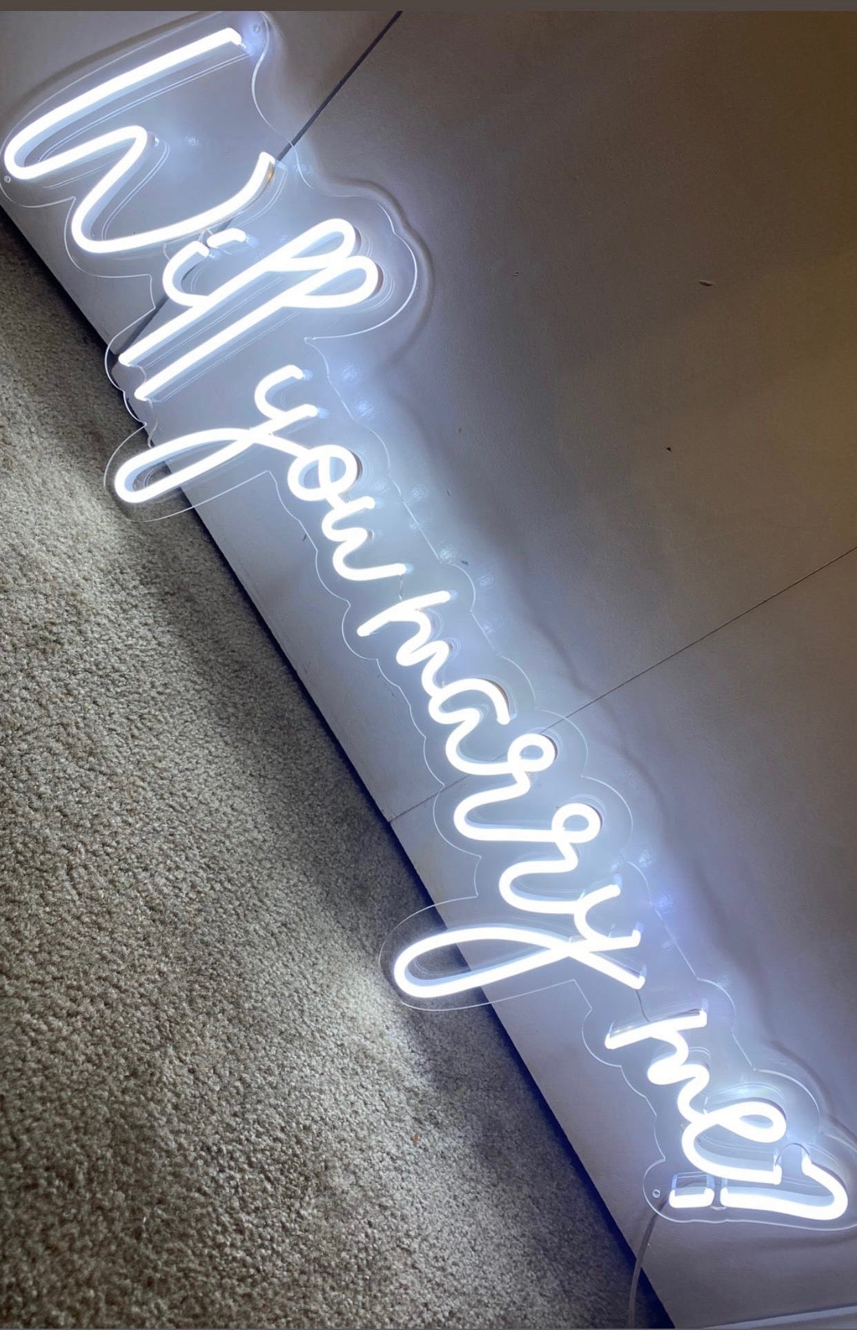 Will You Marry Me? Neon Sign