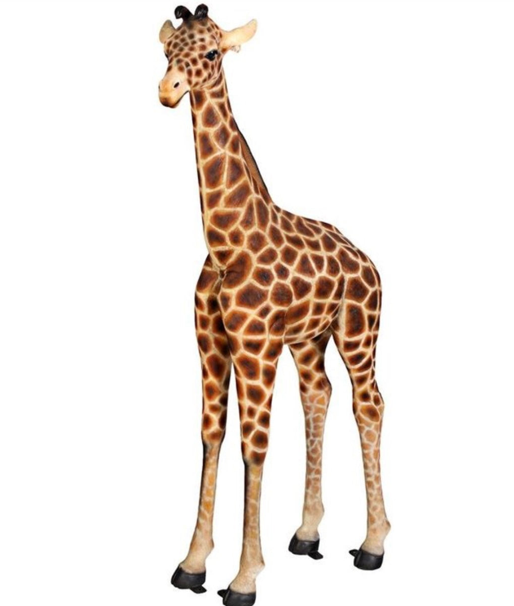 VINTAGE CIRCUS BACKDROP PACKAGE