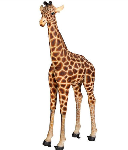 VINTAGE CIRCUS BACKDROP PACKAGE