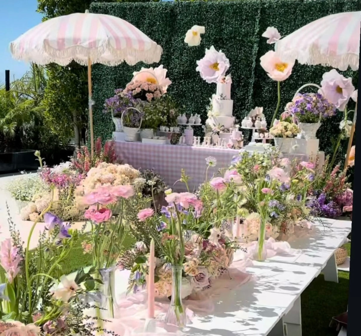 GREENERY HEDGE WALL 7x7