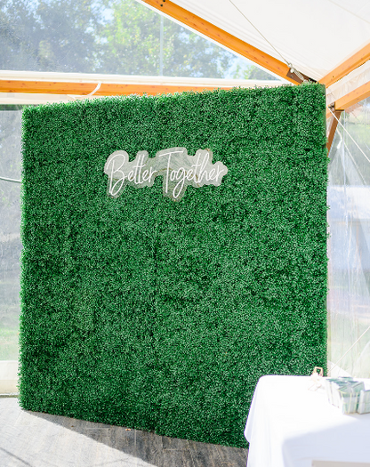 GREENERY HEDGE WALL 7x7