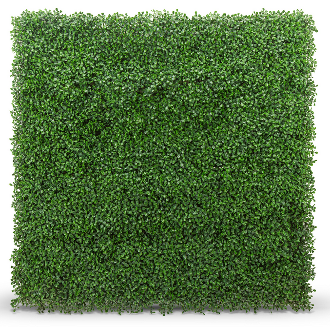 Tropical Green Wall - Square