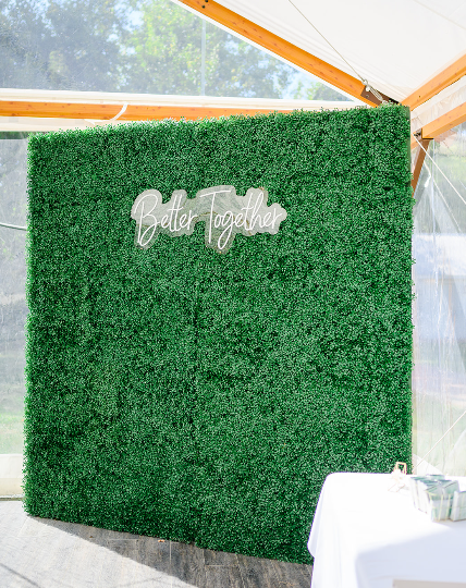 Greenery Hedge Wall 7x7