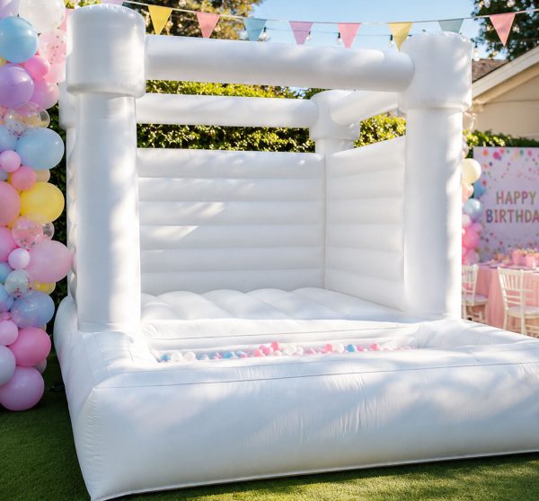 Ball Pit Bounce House 14x14
